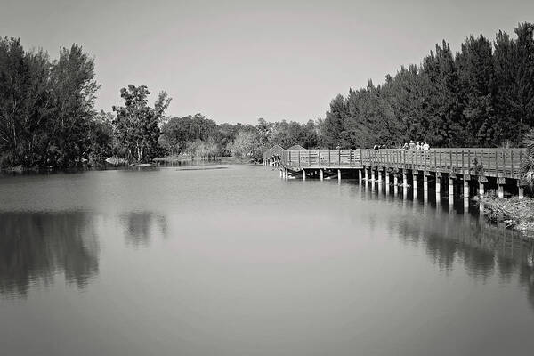 Walk Art Print featuring the photograph A Beautiful Day by Kim Hojnacki