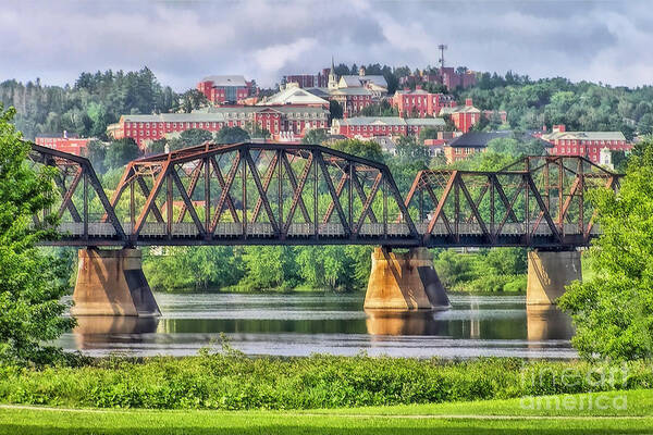 Bridge Art Print featuring the photograph A Bridge to Higher Learning by Carol Randall