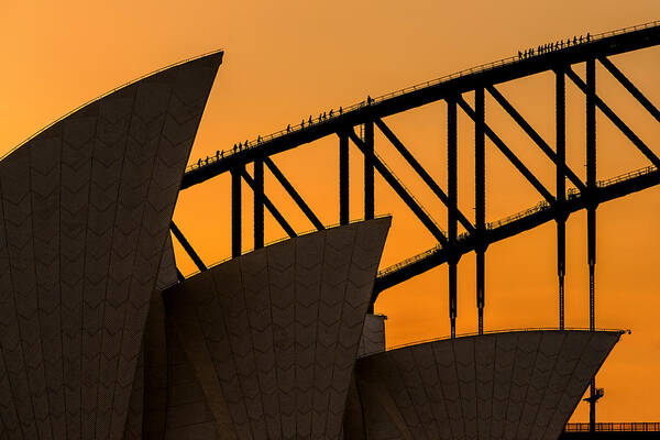 Sydney Art Print featuring the photograph A Climb Above The Sails by Renee Doyle