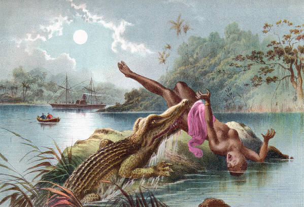 Attacking Art Print featuring the drawing A Crocodile Attacking A Native Woman In by Vintage Design Pics