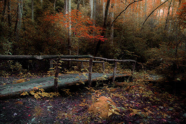 Nature Trail Bridge Art Print featuring the photograph A Day Hiking by Mike Eingle