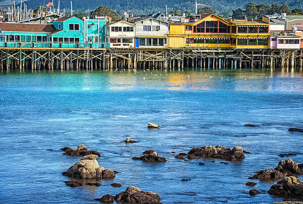 Monterey Art Print featuring the photograph A Day in the Bay by Lynn Bauer