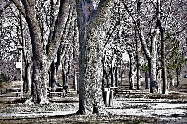 Parks Art Print featuring the photograph A Day in the Park by Reb Frost