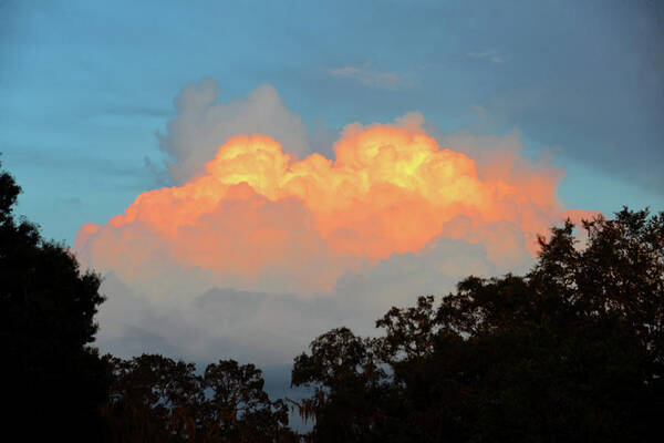 A Delicate Sky Art Print featuring the photograph A delicate sky by David Lee Thompson