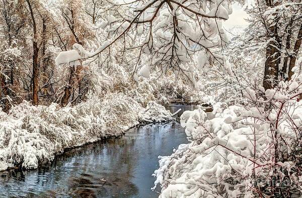 Utah Art Print featuring the photograph A Lil' Bit of Snow by Roxie Crouch