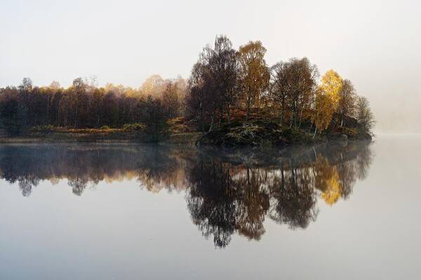 Trees Art Print featuring the photograph A misty autumn by Stephen Taylor