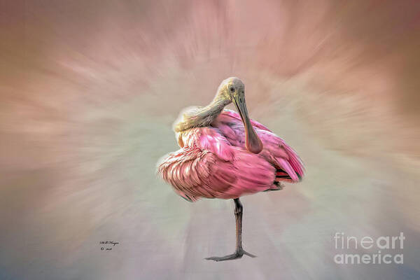 Birds Art Print featuring the photograph A Mother Nature's Masterpiece by DB Hayes