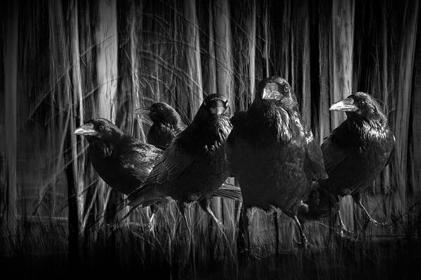 Bird Art Print featuring the photograph A Murder of Crows among the Forest Trees by Randall Nyhof