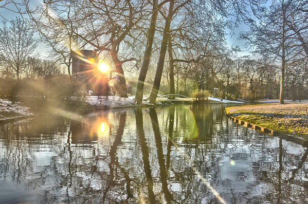 Sun Art Print featuring the photograph A Pond in Rotterdam by Frans Blok
