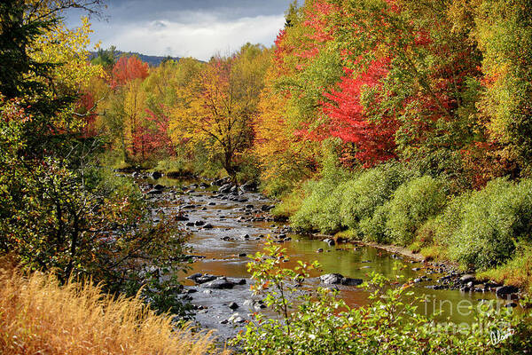 River Art Print featuring the photograph A River Runs Through by Alana Ranney