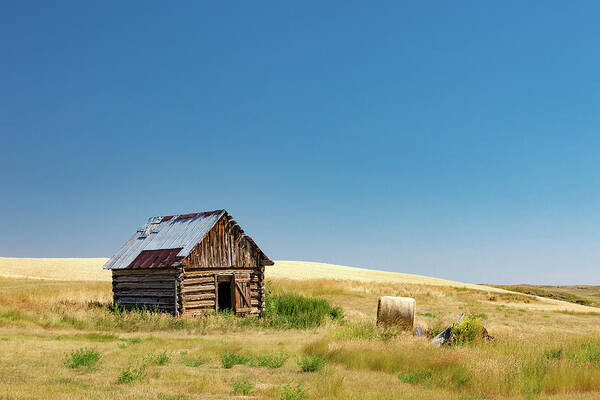Shack Art Print featuring the photograph A Shack Apart by Todd Klassy