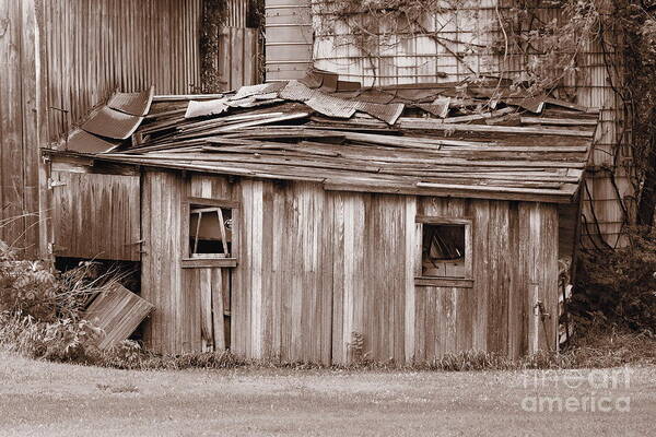 Black White Monochrome Sepia Shed Farm Disrepair Broken Old Abandon Abandoned Shack Building Outbuilding Garage Tone Toned Art Print featuring the photograph A Shed in Disrepair by Ken DePue