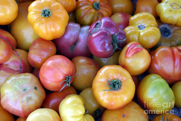 Vegetable Photographs Art Print featuring the photograph A trip through the farmers market featuring heirloom tomatoes. by Mike Ledray