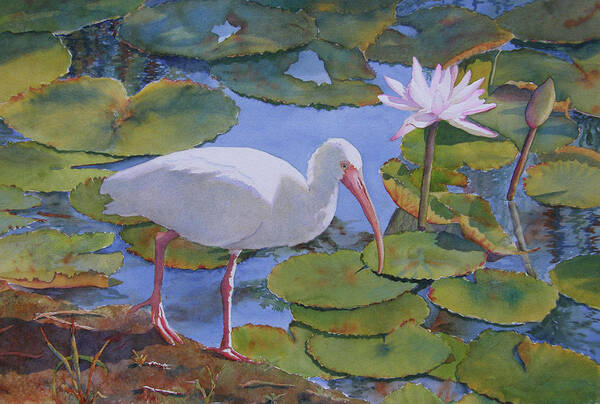 Ibis Art Print featuring the painting A Walk in the Park by Judy Mercer