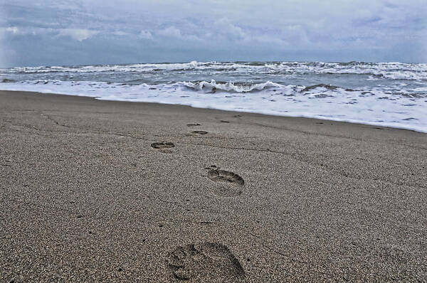 Footprints Art Print featuring the photograph A Walk on the Beach by Jody Lovejoy