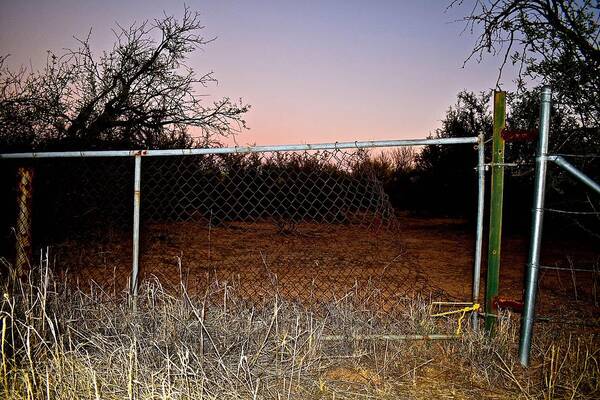 Fence Art Print featuring the photograph A Way In by Melisa Elliott