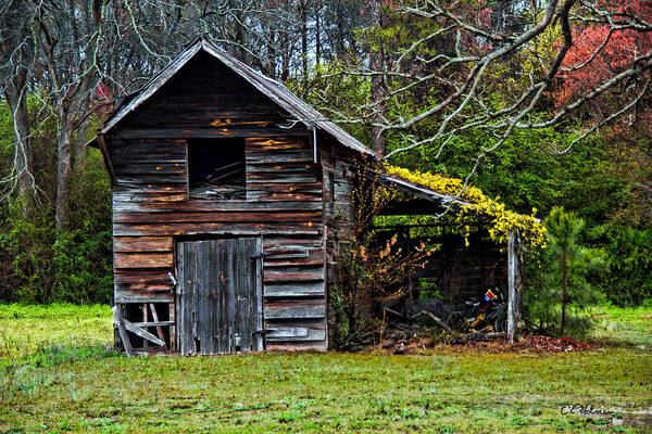 Barn Art Print featuring the photograph A Yellow Cover by Christopher Holmes