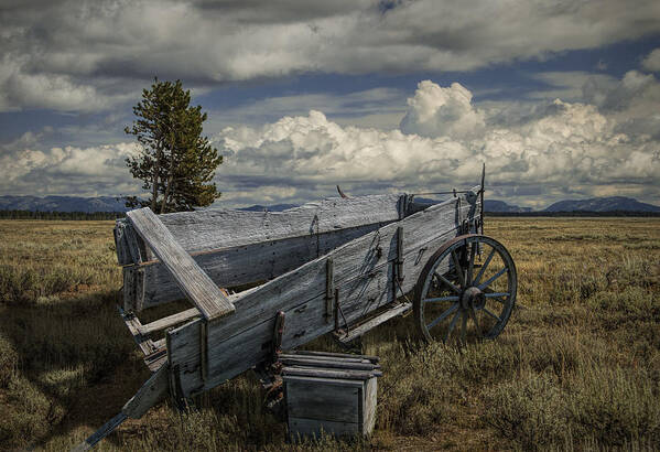 Art Art Print featuring the photograph Abandoned Broken Down Frontier Wagon by Randall Nyhof