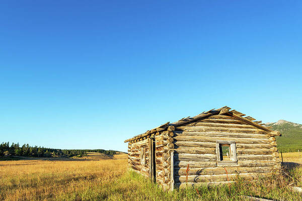 Cabin Art Print featuring the photograph Abandoned Homestead Cabin by Jess Kraft