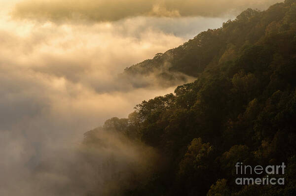 Mist Art Print featuring the photograph Above the Mist - D009960 by Daniel Dempster