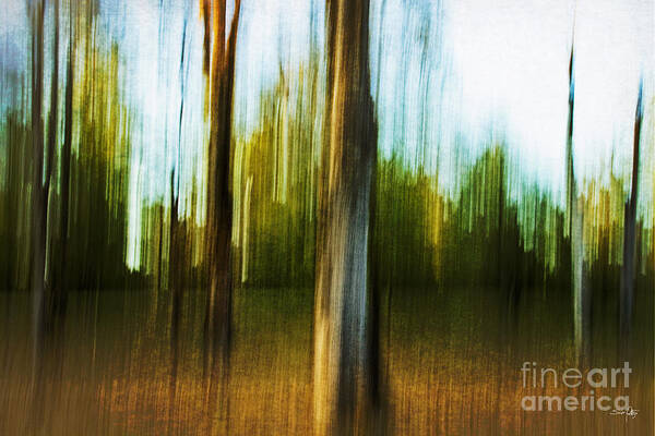 Abstract Art Print featuring the photograph Abstract 1 by Scott Pellegrin