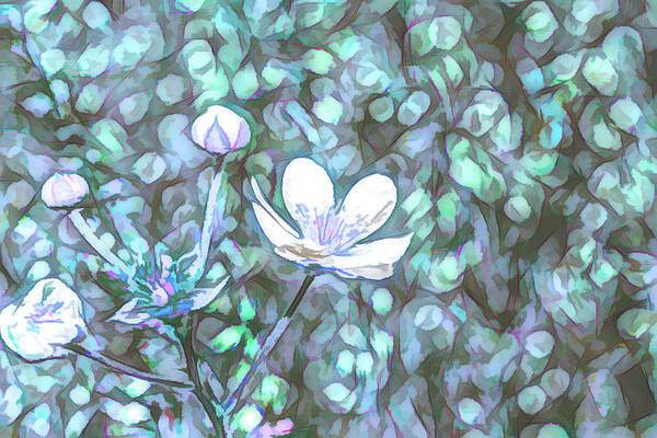 Background Art Print featuring the digital art Abstract flowers sketch by Tim Abeln