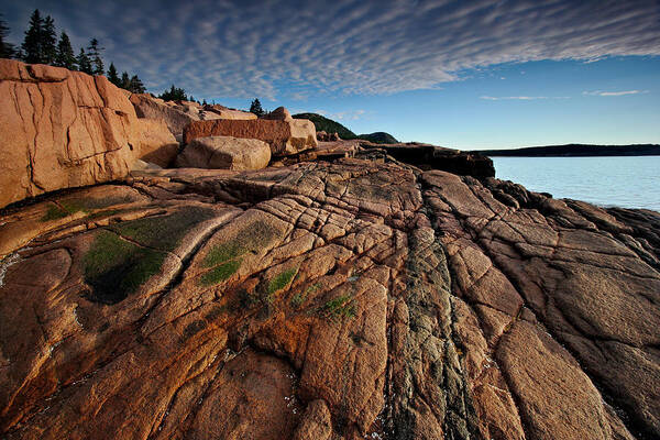 Acadia Art Print featuring the photograph Acadia Rocks by Neil Shapiro