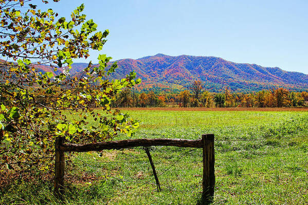 Appalachia Art Print featuring the photograph Across the Meadow - Cades Cove by HH Photography of Florida