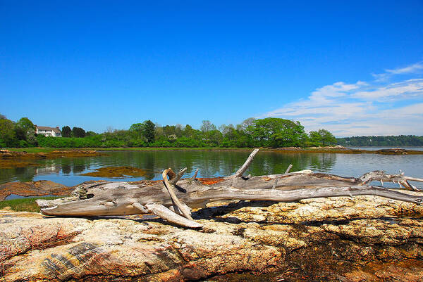 Landscapes Art Print featuring the photograph Adrift in Maine by AnnaJanessa PhotoArt