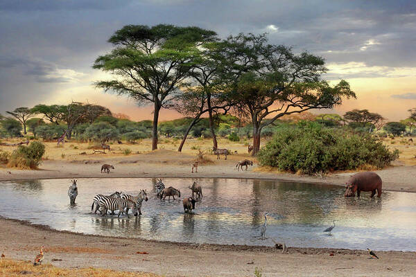 African Landscape Art Print featuring the photograph African Safari Wildlife At The Waterhole by Gill Billington