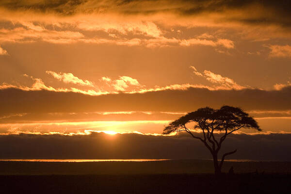 Africa Art Print featuring the photograph African Sunrise by Michele Burgess