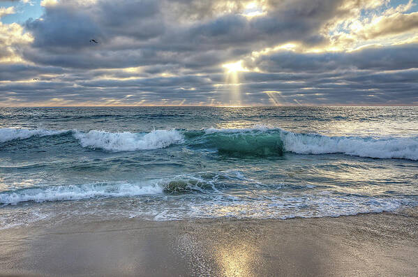 Carlsbad Art Print featuring the photograph After The Storm by Ann Patterson