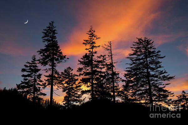 Smokies Art Print featuring the photograph Afterburn Moonrise by Anthony Heflin