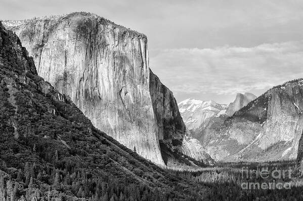 Black & White Art Print featuring the photograph Afternoon At El Capitan by Sandra Bronstein