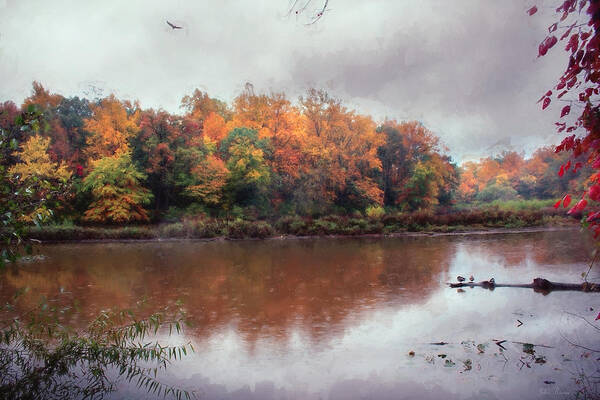 Rain Art Print featuring the photograph Afternoon Rain by John Rivera