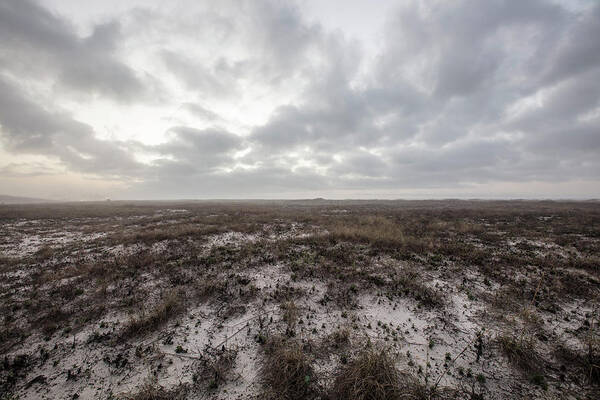 Alabama Art Print featuring the photograph Alabama Dunes by John McGraw