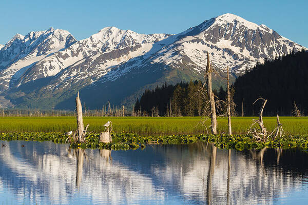 Alaska Art Print featuring the photograph Alaska Coastal Landscape by Scott Slone