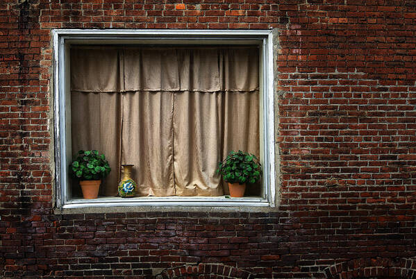 Architecture Art Print featuring the photograph Alley Window Detail by Dick Pratt