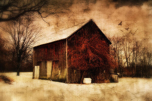 Old Barn Art Print featuring the photograph Alone at Sunset by Mary Timman