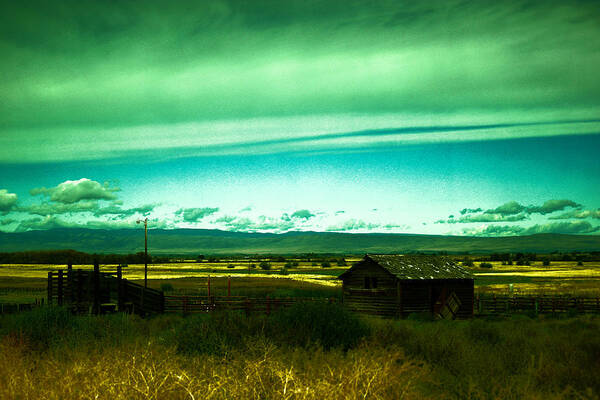 Rural Art Print featuring the photograph Alone in the valley by Jeff Swan