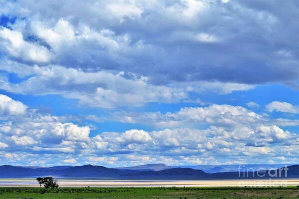 Alvord Desert Art Print featuring the photograph Sky Over Alvord Playa by Michele Penner