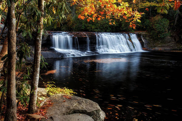 Autumn Art Print featuring the photograph Always and Again by Paul Malcolm