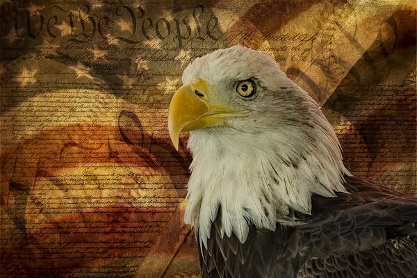 American Bald Eagle Art Print featuring the photograph American Icons by Susan Candelario