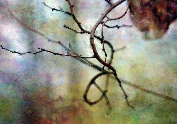 Twig Art Print featuring the photograph An Interesting Path 7923 IDP_2 by Steven Ward