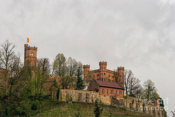 Castle Art Print featuring the photograph Ancient castle in Germany by Patricia Hofmeester