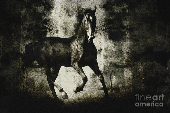  Painting Art Print featuring the drawing Andalusian horse by Dimitar Hristov