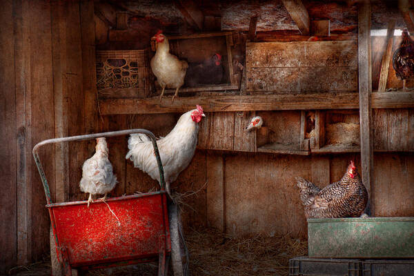 Chicken Art Print featuring the photograph Animal - Chicken - The duck is a spy by Mike Savad