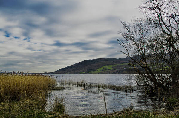 Lough Derg Art Print featuring the photograph Annacarriga Lakeside by Michael Quinlan