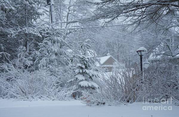 Winter Art Print featuring the photograph Another Nor'Easter Hits McKinley Avenue Walpole by Marcus Dagan