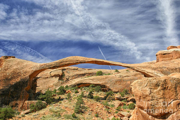 America Art Print featuring the photograph Arched by Patricia Hofmeester